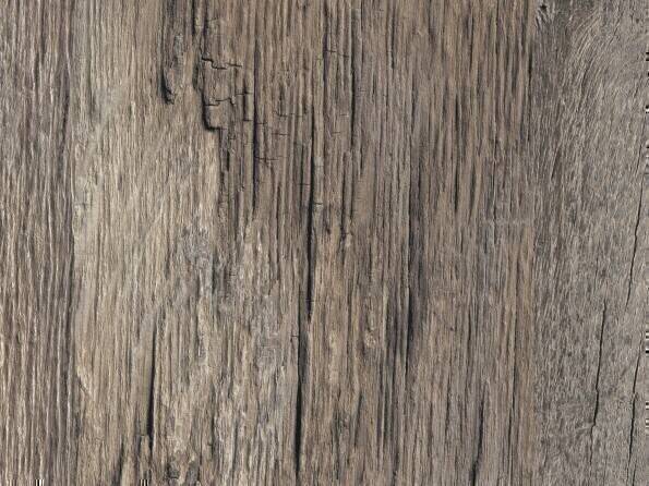 K5284_Eiche Roosevelt_Detail.jpg